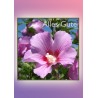 Alles Gute Hibiskus