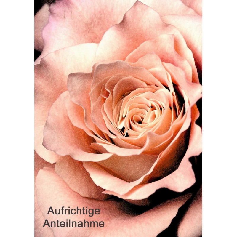 Anteilnahme Rose orange-schwarz