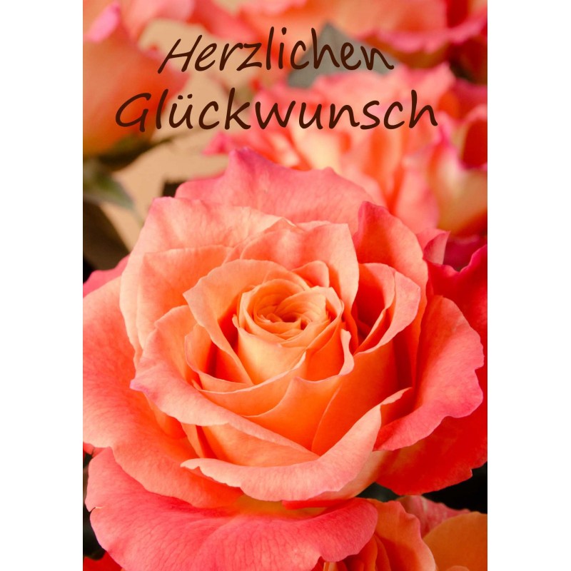 Glückwunsch orange-rote Rose