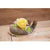 Rose auf Schwemmholz