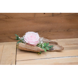 Rose auf Schwemmholz