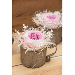 Tasse mit Rose