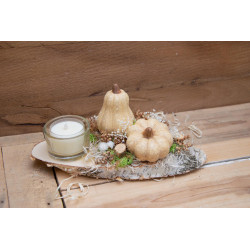 Teelicht Kürbisse creme