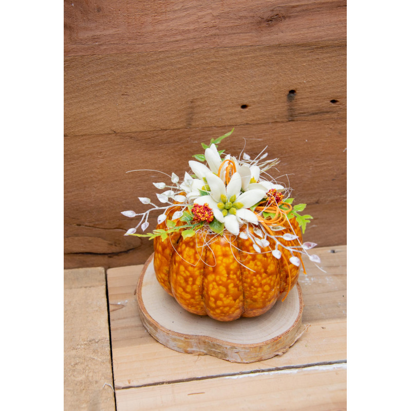 Kürbis mit Edelweiss