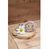 Kleine Igel Deko