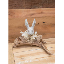 Hasenbüste auf Schwemmholz