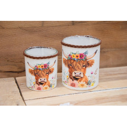 Windlicht-Set Hochlandrind