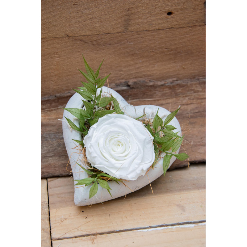 Betonherz mit stabilisierter Rose