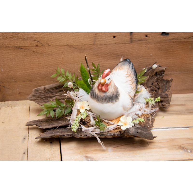 Hahn im Nest auf Schwemmholz