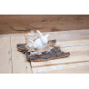Hase im Nest