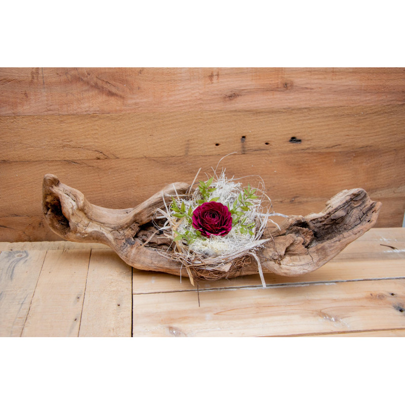 Schwemmholz Rose im Nest