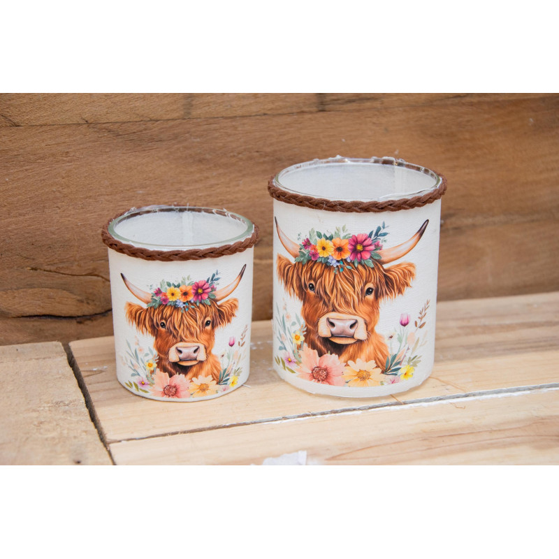 Windlicht-Set Hochlandrind