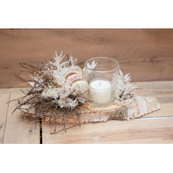 Windlicht Birkenholz & Muscheln