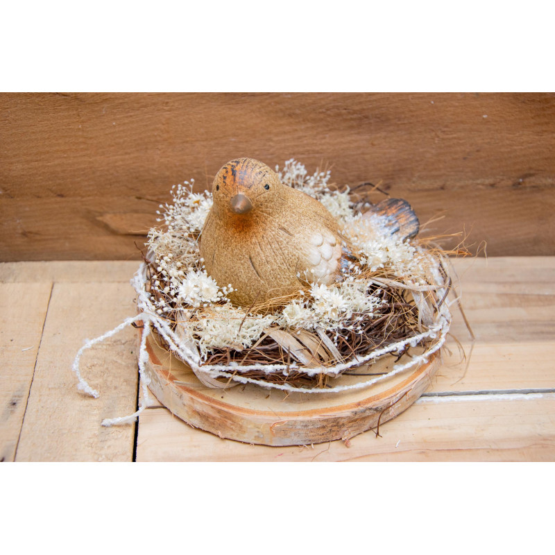 Vogel im Nest