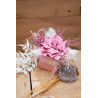 Box Gardenia