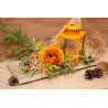 Laterne mit Papierbandrose orange