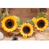 Türkranz 3 Sonnenblumen