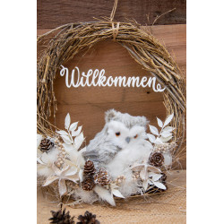 Türkranz Schneeeule