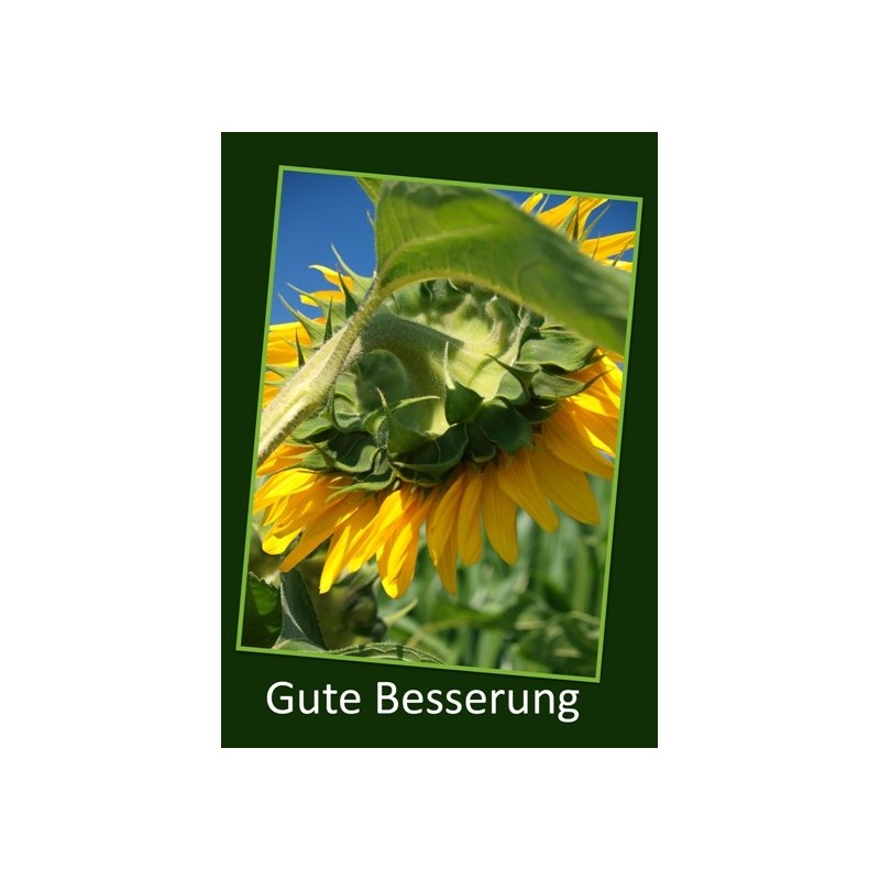 Gute Besserung Sonnenblume